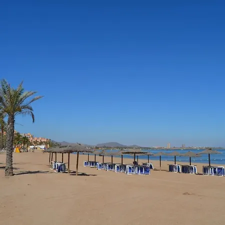 Cristal 5608 - Choice *