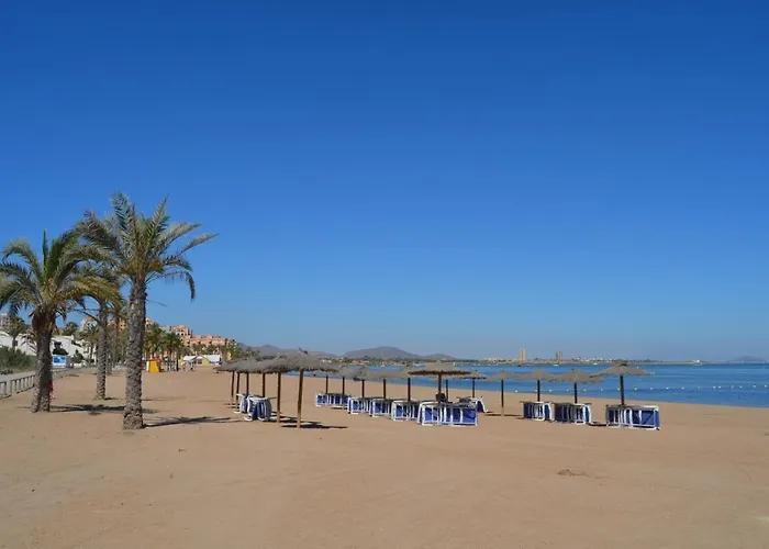 Cristal 5608 - Choice *